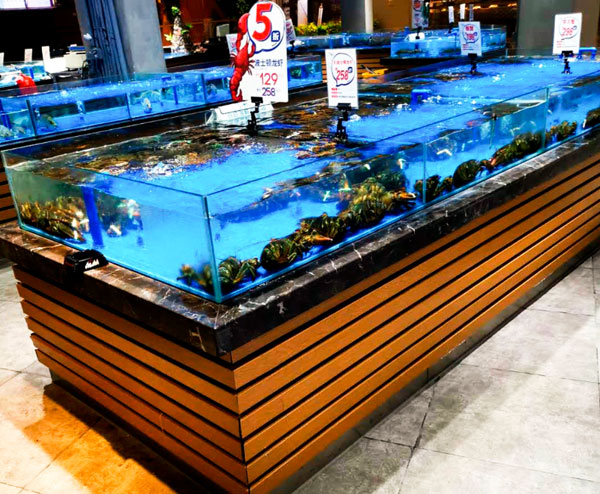 魚(yú)缸